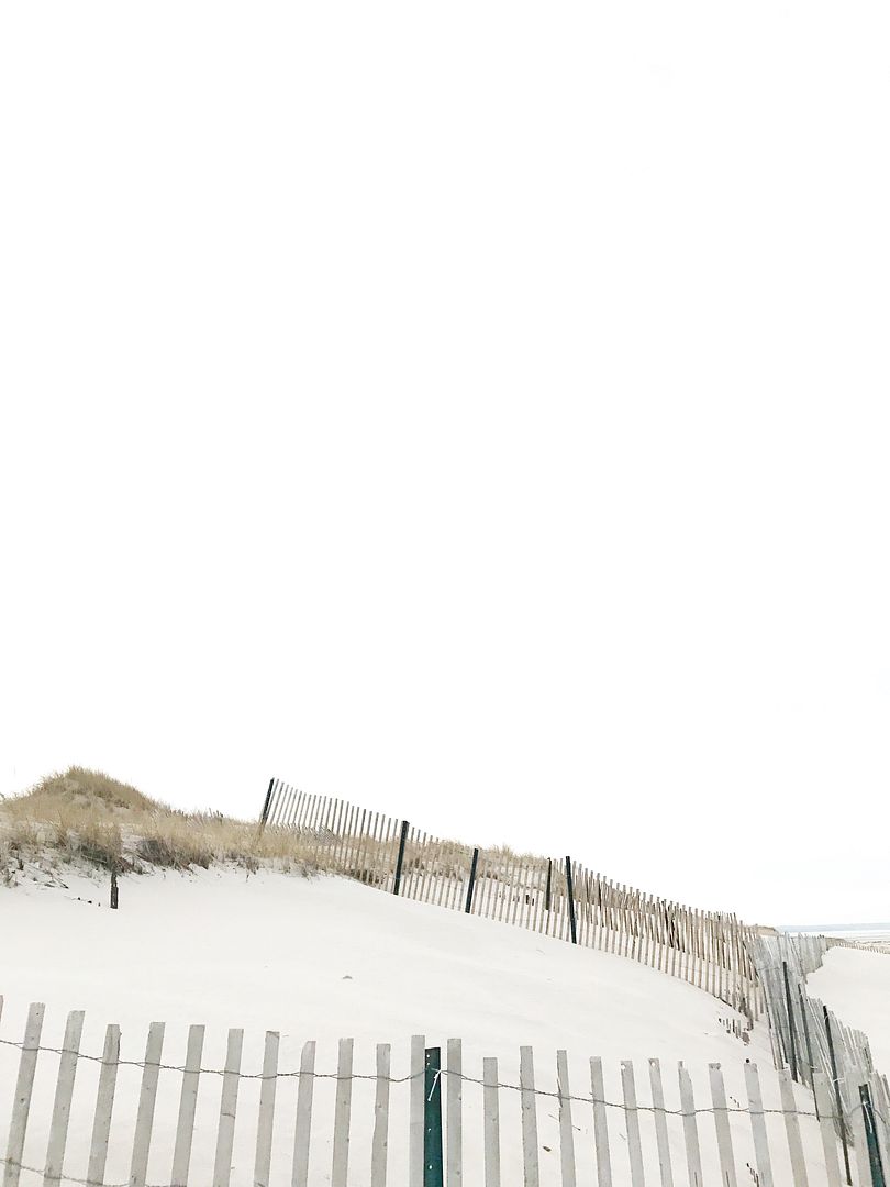 winter on cape cod 4