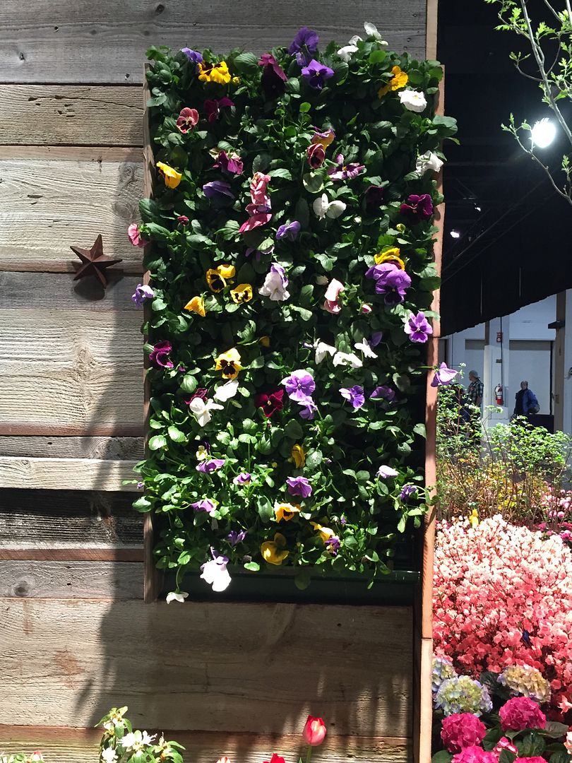 boston flower and garden show