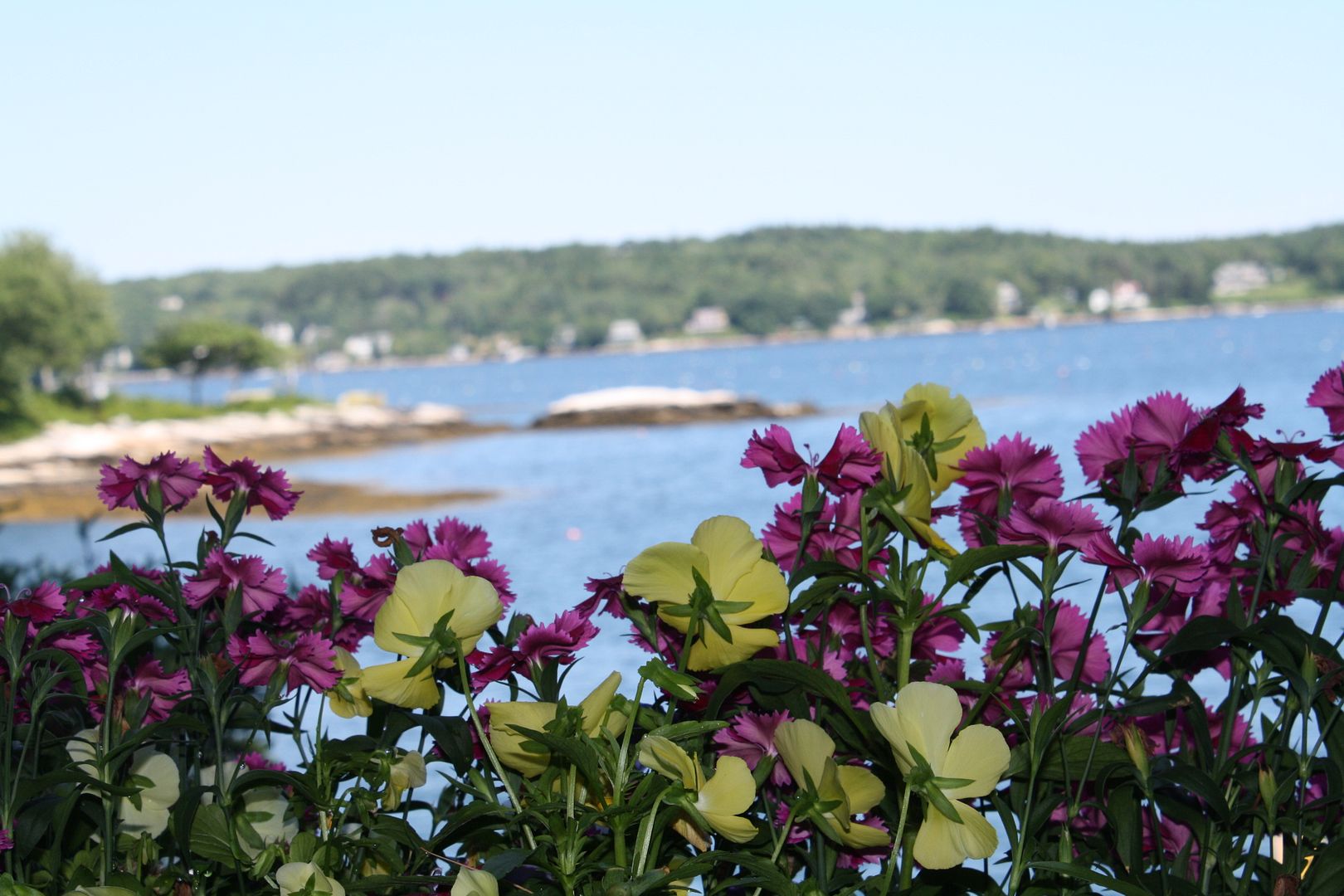 My favorite vacation photos - Boothbay Harbor, Maine