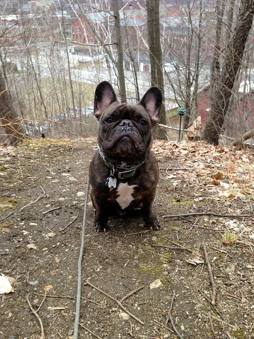 My favorite vacation photos - Clark climbs a mountain in North Adams, MA