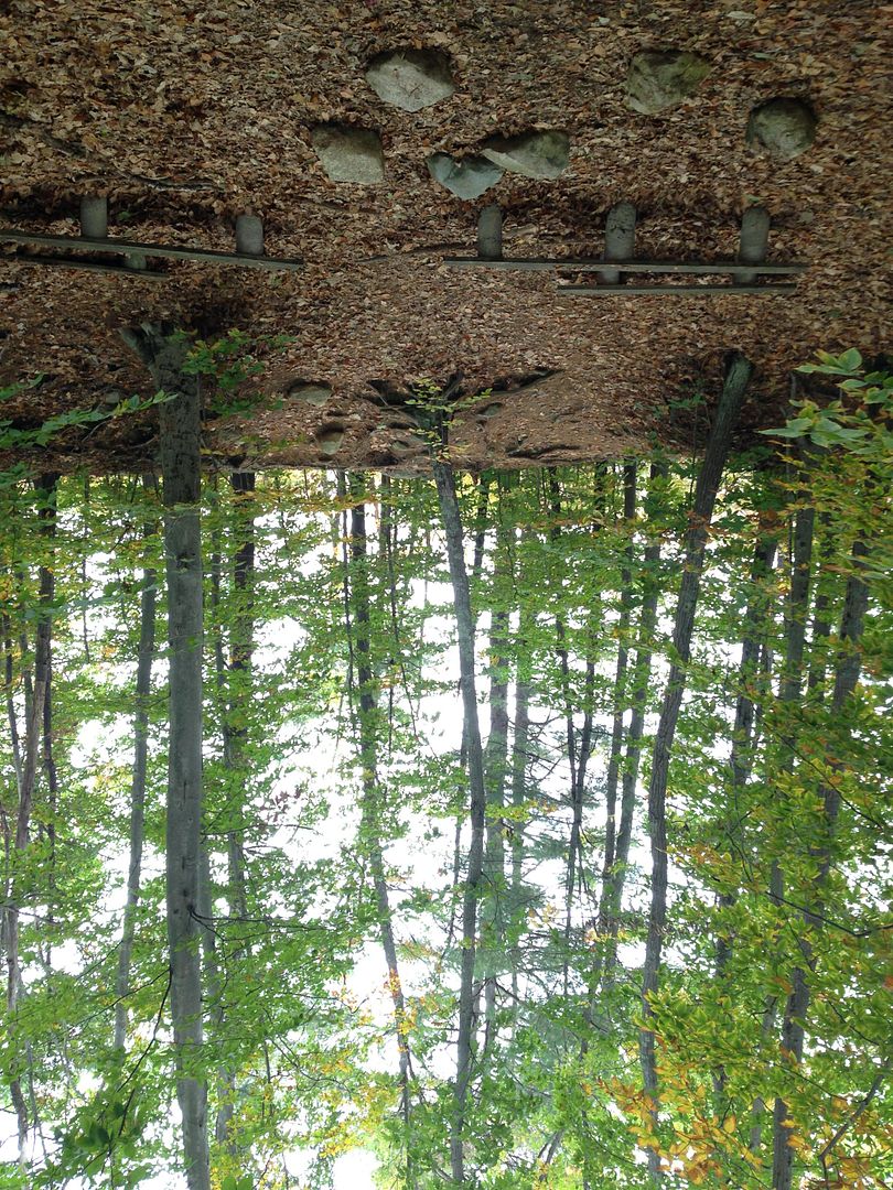 outdoor classroom at Stony Brook