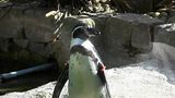 photo Birdcenter014_zps5442502f.jpg