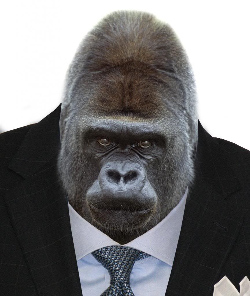 Gorilla wearing a Suit