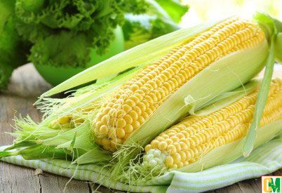 ăn ngô tốt cho sức khỏe