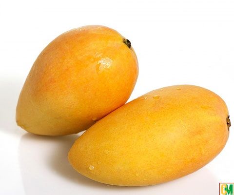 cốc sinh tố xoài