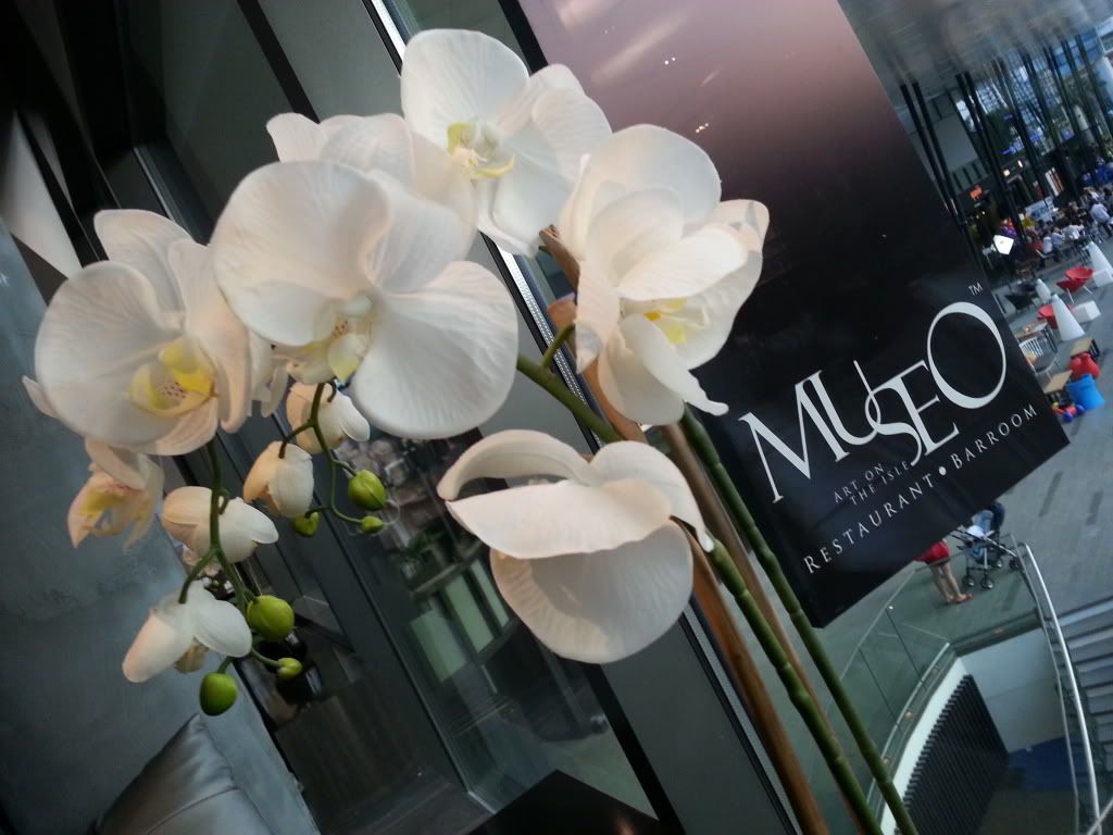 Museo | Singapoer Mom Blogs A Singapore Mom Blogger goes food tasting at Museo