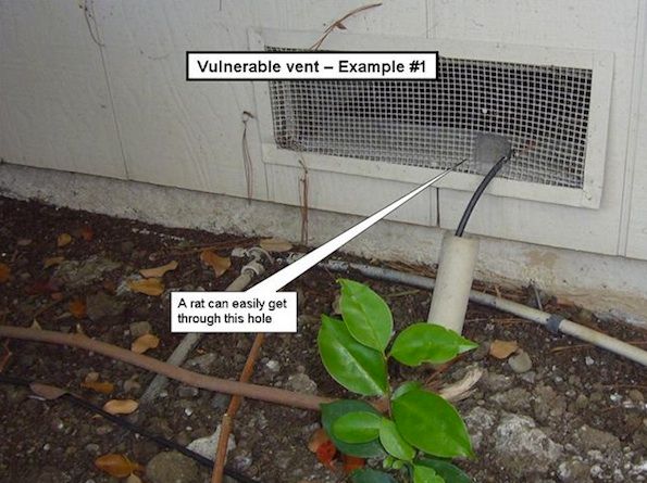 animal-in-vent-nj animal in vent NJ - wildlife removal in New Jersey