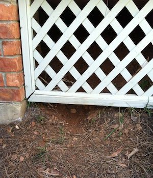 deck under shed animal porch removal nj