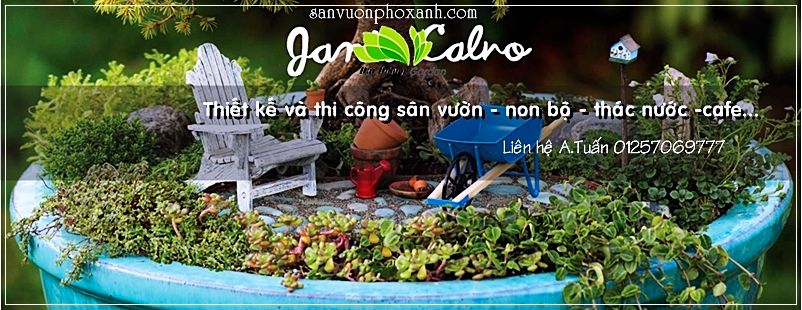 Chuyên tư vấn, thiết kế và thi công cảnh quan sân vườn, hòn non bộ, thác nước...