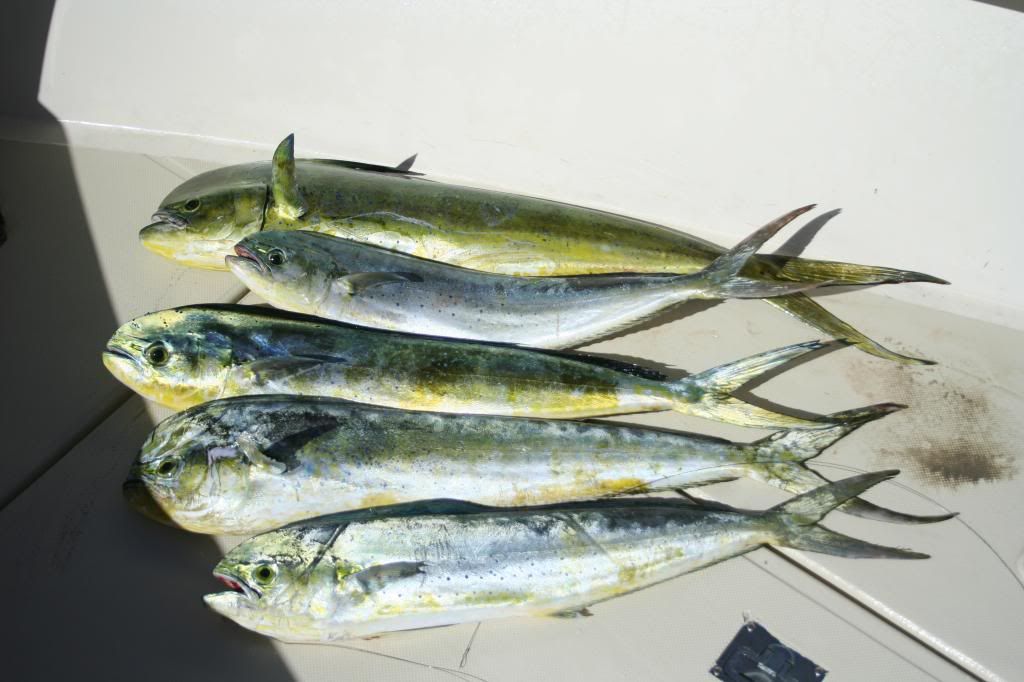fishing039.jpg