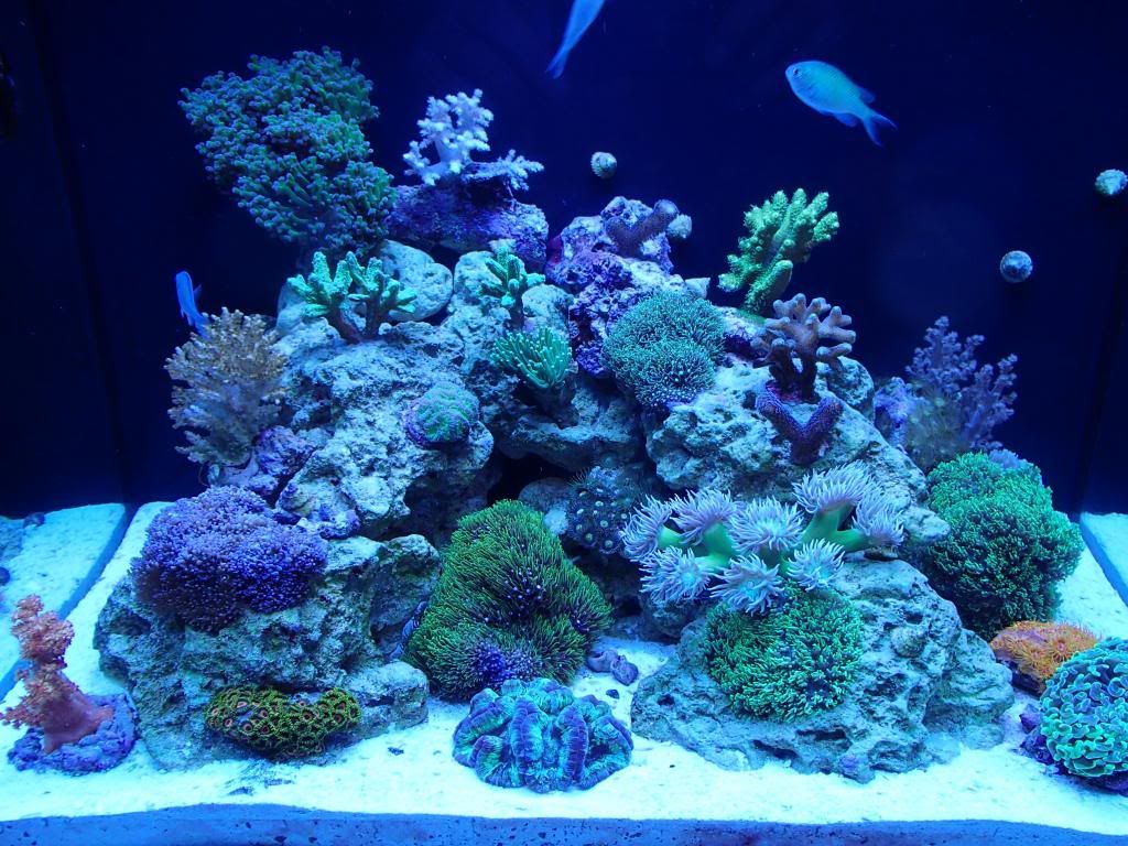 official innovative marine owners
