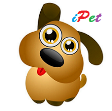 iPet-Bán và nhận order các giống chó thuần chủng khỏe mạnh, đáng yêu, giá cả hợp lí