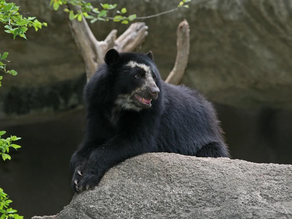 Oso Jukumari Oso Jukumari