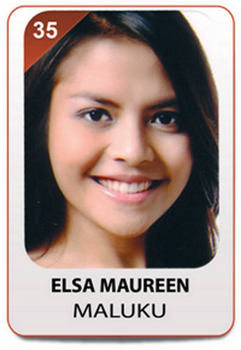 Puteri Indonesia 2013 Finalist