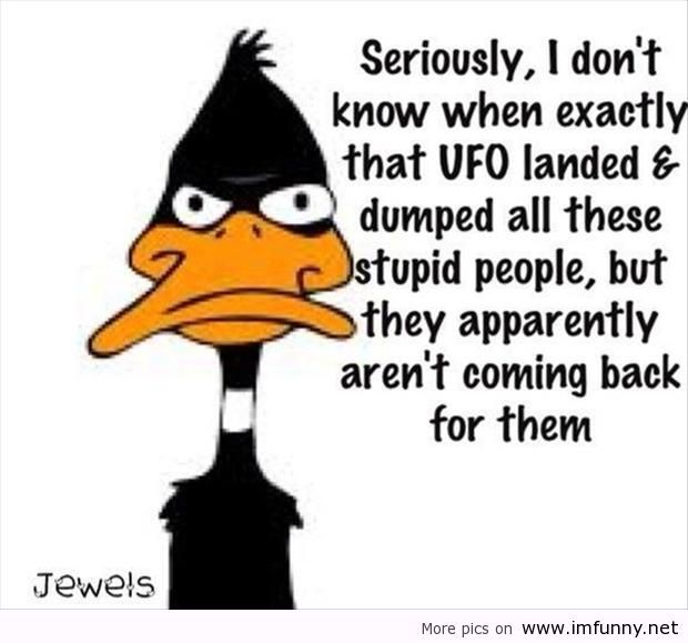 Funny-quotes-Daffy-Duck_zpscc53100f.jpg