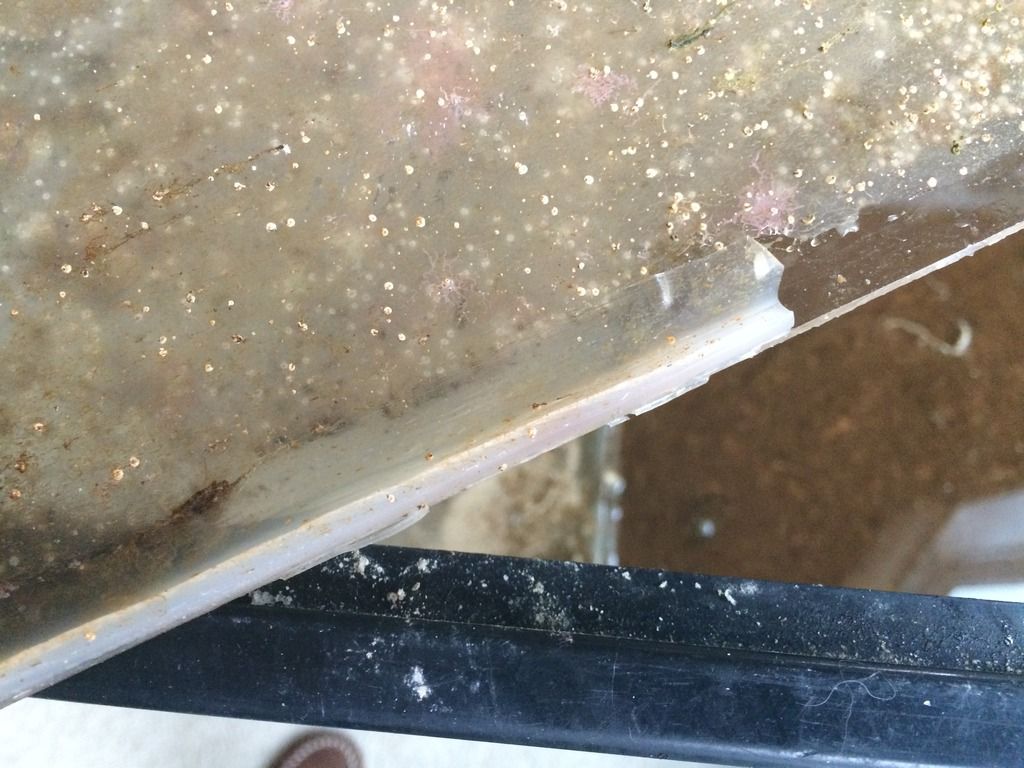 Does Silicone Bond to Acrylic Reef Central Online Community